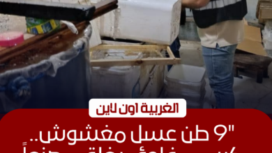 ضبط 9 أطنان عسل داخل مصنع غير مرخص في الغربية