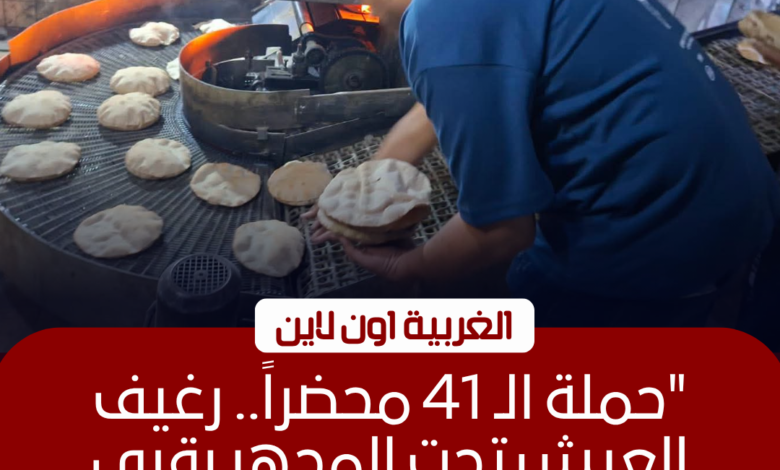 تحرير 41 محضرًا لمخابز بلدية في حملات مكثفة بالغربية 1 تحرير 41 محضرًا لمخابز بلدية في حملات مكثفة بالغربية