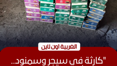 ضبط 3.5 طن سلع و2000 قطعة حلوى فاسدة في حملة مكثفة بالغربية