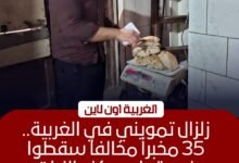 تحرير 35 محضرًا لمخابز في قطور وكفر الزيات والمحلة بالغربية