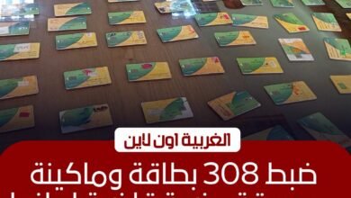 ضبط 308 بطاقات تموينية وتهريب 4 آلاف رغيف في حملات تموينية بالغربية