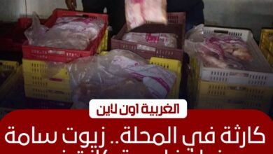 ضبط طن و350 كيلو دواجن فاسدة داخل مجزر غير مرخص بالمحلة