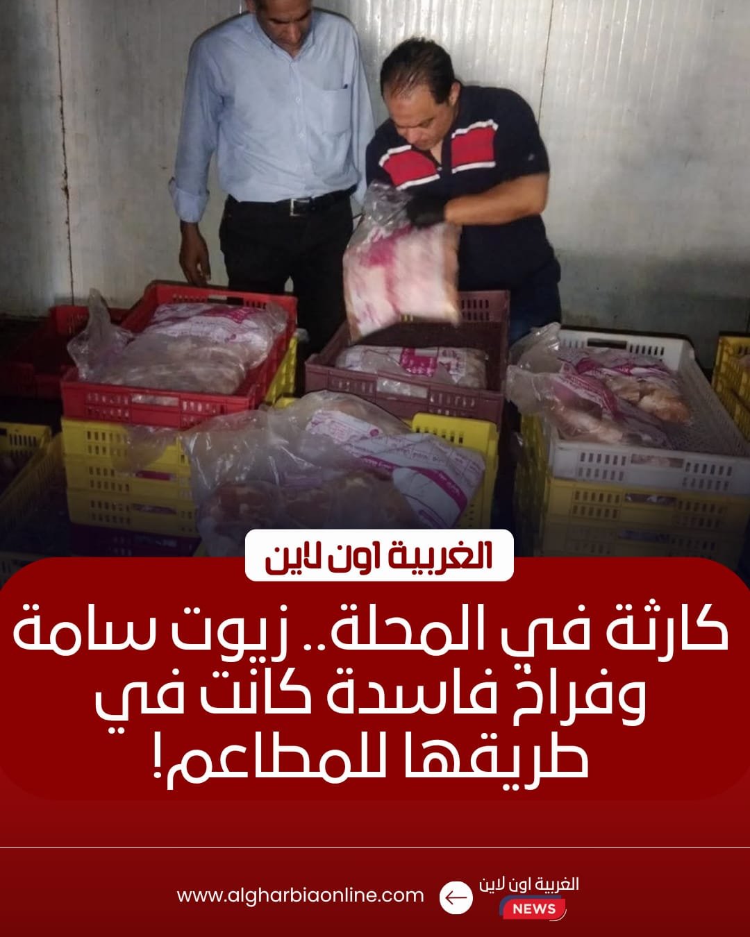 ضبط طن و350 كيلو دواجن فاسدة داخل مجزر غير مرخص بالمحلة 8 ضبط طن و350 كيلو دواجن فاسدة داخل مجزر غير مرخص بالمحلة
