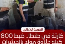 ضبط 800 كيلو حلوى وشيكولاتة فاسدة داخل مصنع غير مرخص بالغربية