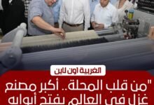 وزير الصناعة ومحافظ الغربية يتفقدان توسعات غزل المحلة