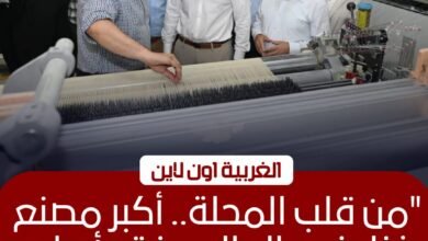 وزير الصناعة ومحافظ الغربية يتفقدان توسعات غزل المحلة