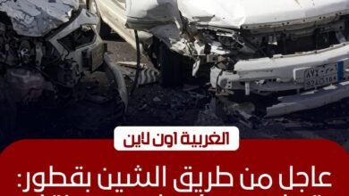 إصابة 5 أشخاص في تصادم ميكروباص وربع نقل بطريق قطور بالغربية