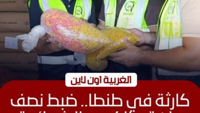 ضبط نصف طن "سناكس" فاسد داخل مصنع غير مرخص بطنطا