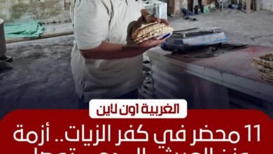تحرير 11 محضرًا تموينيًا في حملات مكثفة على مخابز كفر الزيات 3 تحرير 11 محضرًا تموينيًا في حملات مكثفة على مخابز كفر الزيات