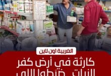 ضبط 1500 عبوة مبيدات زراعية محظورة خلال حملة بكفر الزيات