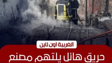السيطرة على حريق هائل بمصنع فايبر في المحلة الكبرى 2 السيطرة على حريق هائل بمصنع فايبر في المحلة الكبرى