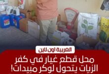 ضبط 4 أطنان سلع ومبيدات محظورة خلال حملات تموينية بالغربية