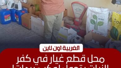 ضبط 4 أطنان سلع ومبيدات محظورة خلال حملات تموينية بالغربية