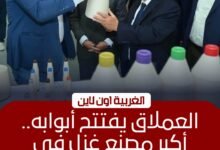 جولة حكومية لمتابعة تشغيل مصانع غزل المحلة