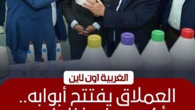 جولة حكومية لمتابعة تشغيل مصانع غزل المحلة