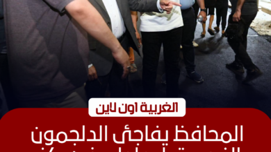 محافظ الغربية يتابع رصف طريق الدلجمون بكفر الزيات