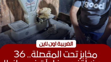 تحرير 36 محضرًا لمخابز بلدية في حملة رقابية مكثفة بالغربية