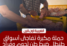 ضبط طن لحوم ودواجن فاسدة في حملة مكبرة بطنطا