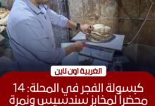ضبط 14 مخالفة في حملة مفاجئة على مخابز المحلة الكبرى