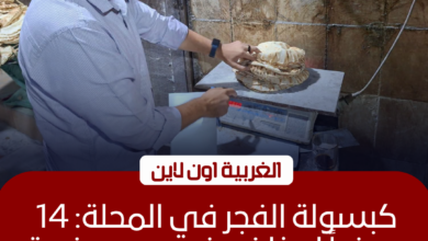 ضبط 14 مخالفة في حملة مفاجئة على مخابز المحلة الكبرى