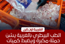ضبط 750 كجم لحوم فاسدة وتحرير 13 محضرًا بمراكز الغربية