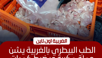 ضبط 750 كجم لحوم فاسدة وتحرير 13 محضرًا بمراكز الغربية