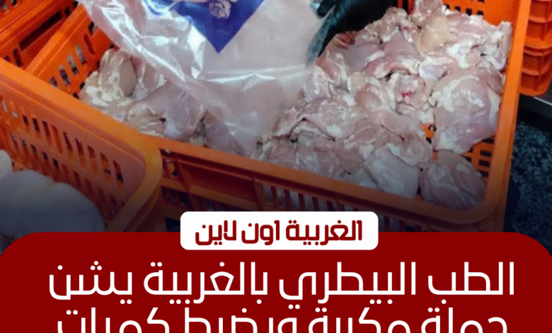 ضبط 750 كجم لحوم فاسدة وتحرير 13 محضرًا بمراكز الغربية 1 ضبط 750 كجم لحوم فاسدة وتحرير 13 محضرًا بمراكز الغربية