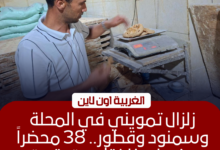 ضبط 38 مخالفة بمخابز الغربية خلال حملات مكثفة بالمحلة وسمنود وقطور