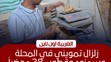 ضبط 38 مخالفة بمخابز الغربية خلال حملات مكثفة بالمحلة وسمنود وقطور 2 ضبط 38 مخالفة بمخابز الغربية خلال حملات مكثفة بالمحلة وسمنود وقطور