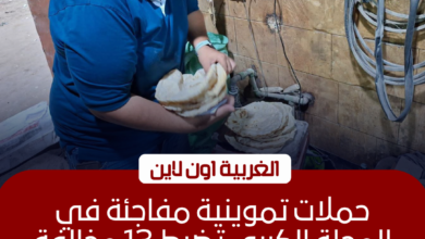 ضبط 13 مخالفة تموينية وصحية في حملات على مخابز المحلة 2 ضبط 13 مخالفة تموينية وصحية في حملات على مخابز المحلة