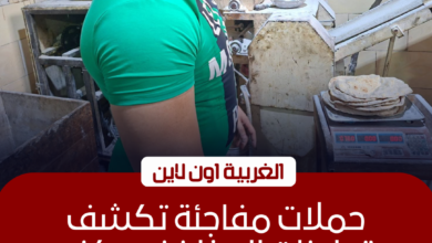 ضبط 39 مخبزًا مخالفًا في حملات تموينية بكفر الزيات والمحلة وسمنود