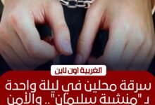 سرقة محلين تجاريين في كفر الزيات والامن يكثف جهوده