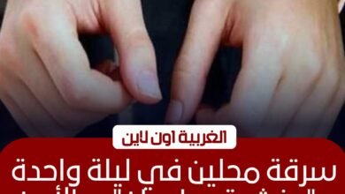 سرقة محلين تجاريين في كفر الزيات والامن يكثف جهوده