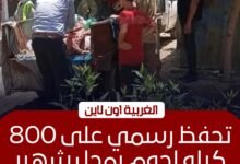 قرار عاجل بفحص 800 كيلو لحوم مشتبه بها في المحلة الكبرى