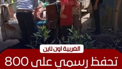 قرار عاجل بفحص 800 كيلو لحوم مشتبه بها في المحلة الكبرى