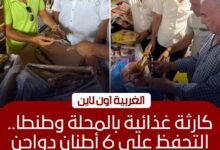 ضبط 6.5 طن لحوم وهياكل دواجن فاسدة بالمحلة وطنطا