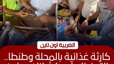 ضبط 6.5 طن لحوم وهياكل دواجن فاسدة بالمحلة وطنطا