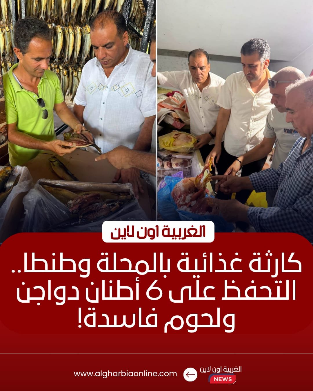 ضبط 6.5 طن لحوم وهياكل دواجن فاسدة بالمحلة وطنطا