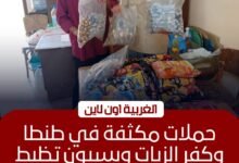ضبط 3 أطنان سلع مجهولة الصلاحية وممنوعات في طنطا وكفر الزيات وبسيون