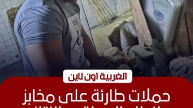 ضبط 22 مخالفة تموينية بحملات مفاجئة على المخابز في طنطا والمحلة 3 ضبط 22 مخالفة تموينية بحملات مفاجئة على المخابز في طنطا والمحلة