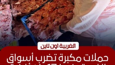 ضبط 18 طن لحوم فاسدة وتحرير 109 محاضر بالغربية 2 ضبط 18 طن لحوم فاسدة وتحرير 109 محاضر بالغربية