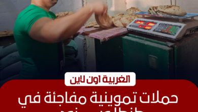 ضبط 20 مخبزًا مخالفًا في طنطا وسمنود خلال حملات مفاجئة