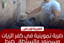 ضبط 25 مخابز مخالفة في كفر الزيات وسمنود والسنطة