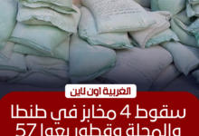 ضبط 4 مخابز استولت على 57 جوال دقيق في طنطا والمحلة