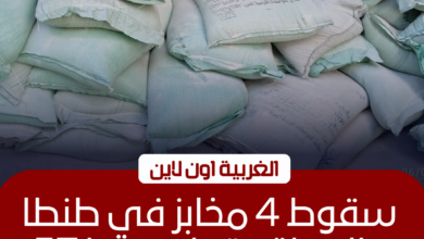 ضبط 4 مخابز استولت على 57 جوال دقيق في طنطا والمحلة 2 ضبط 4 مخابز استولت على 57 جوال دقيق في طنطا والمحلة