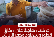 تحرير 35 محضرًا لمخابز مخالفة في قطور وكفر الزيات وسمنود