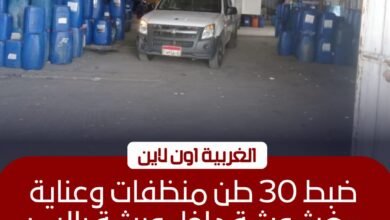 ضبط 30 طن منظفات مغشوشة داخل ورشة غير مرخصة في طنطا