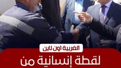 محافظ الغربية يفاجئ عمال النظافة في قطور بـ"كوبونات مواد غذائية"