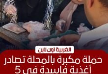 ضبط دواجن فاسدة ومخالفات تموينية كبرى في المحلة