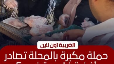 ضبط دواجن فاسدة ومخالفات تموينية كبرى في المحلة